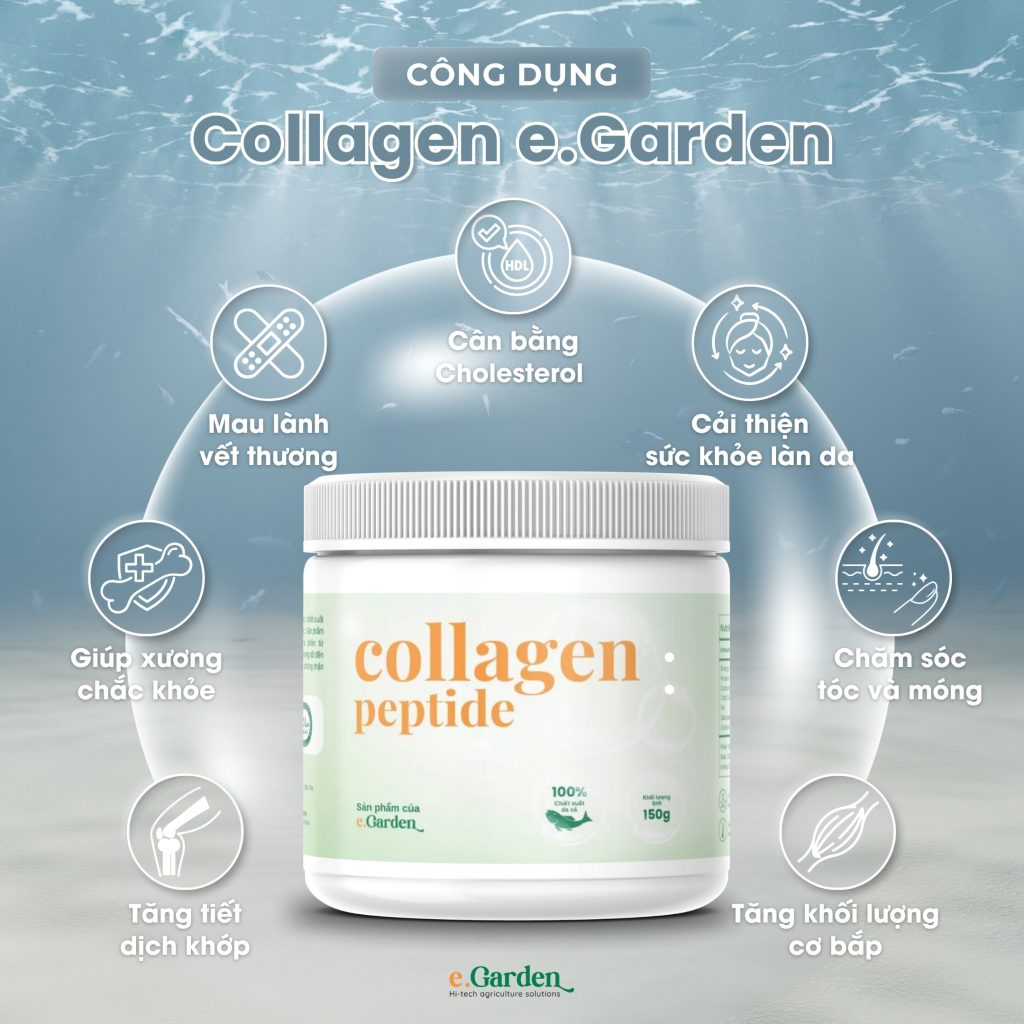 Tác dụng của collagen peptide e.Garden