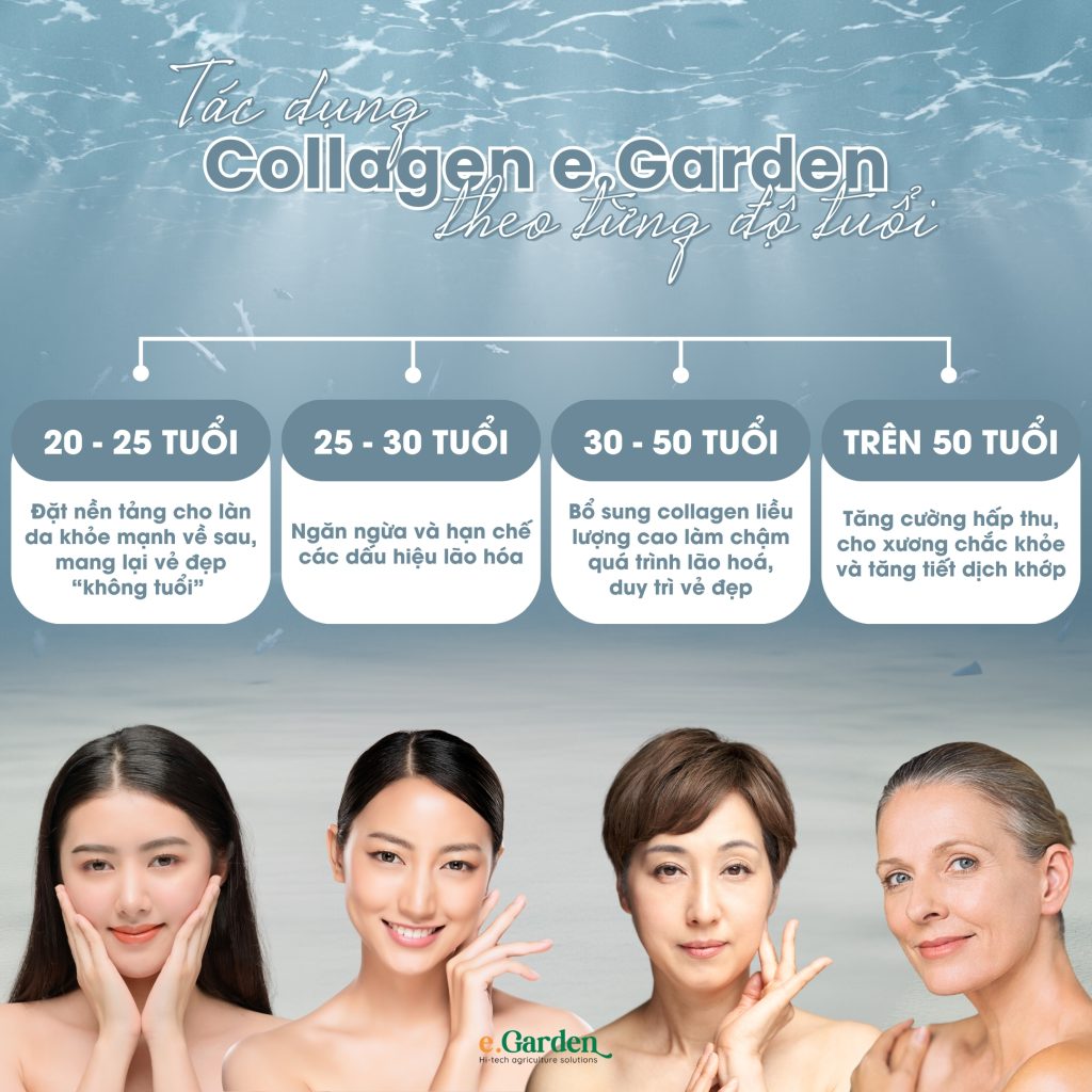 Tại sao phải bổ sung collagen