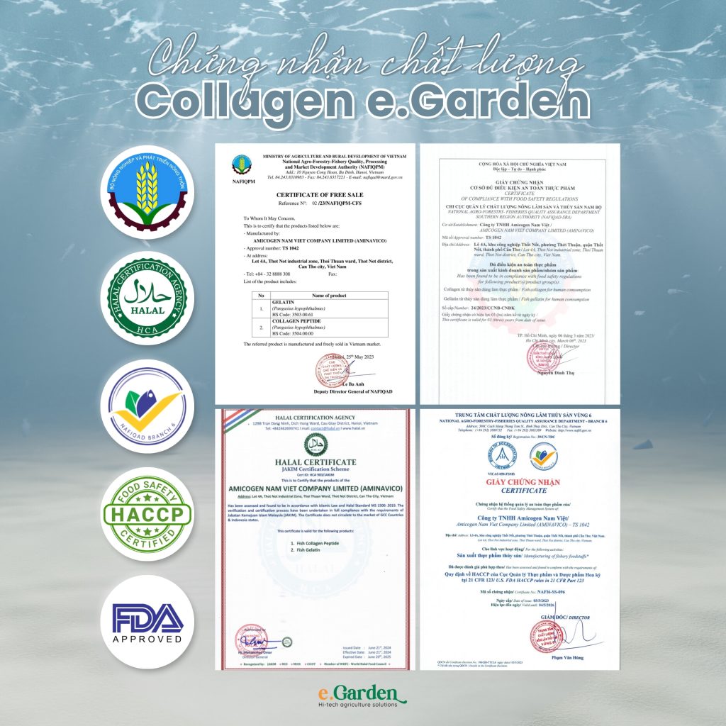 Chứng nhận chất lượng Collagen e.Garden 